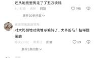 包含VAR判罚再引争议，国安对阵哈兰德裁判判点引发巨大争议的词条
