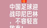 沙特阿拉伯队意气风发，为在国际比赛中一搏的简单介绍